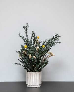 Vedligeholdelsesfri Potteplante - Konserveret Sommer Parvifolia - Billede 4