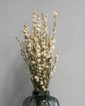 Eksklusiv Tørret Ridderspore (Larkspur) – Naturtro Evighedsblomst (60 cm) - Billede 3