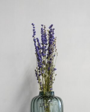 Eksklusiv Tørret Ridderspore (Larkspur) – Naturtro Evighedsblomst (60 cm) - Billede 7