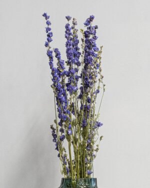 Eksklusiv Tørret Ridderspore (Larkspur) – Naturtro Evighedsblomst (60 cm) - Billede 8