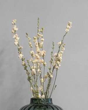 Eksklusiv Tørret Ridderspore (Larkspur) – Naturtro Evighedsblomst (60 cm) - Billede 4