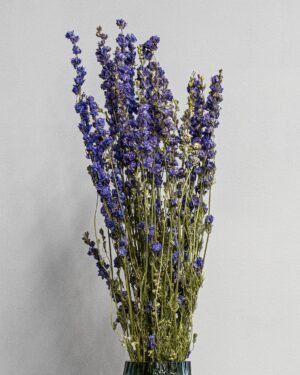 Eksklusiv Tørret Ridderspore (Larkspur) – Naturtro Evighedsblomst (60 cm) - Billede 6