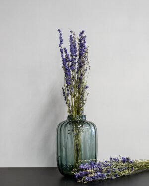 Eksklusiv Tørret Ridderspore (Larkspur) – Naturtro Evighedsblomst (60 cm) - Billede 9