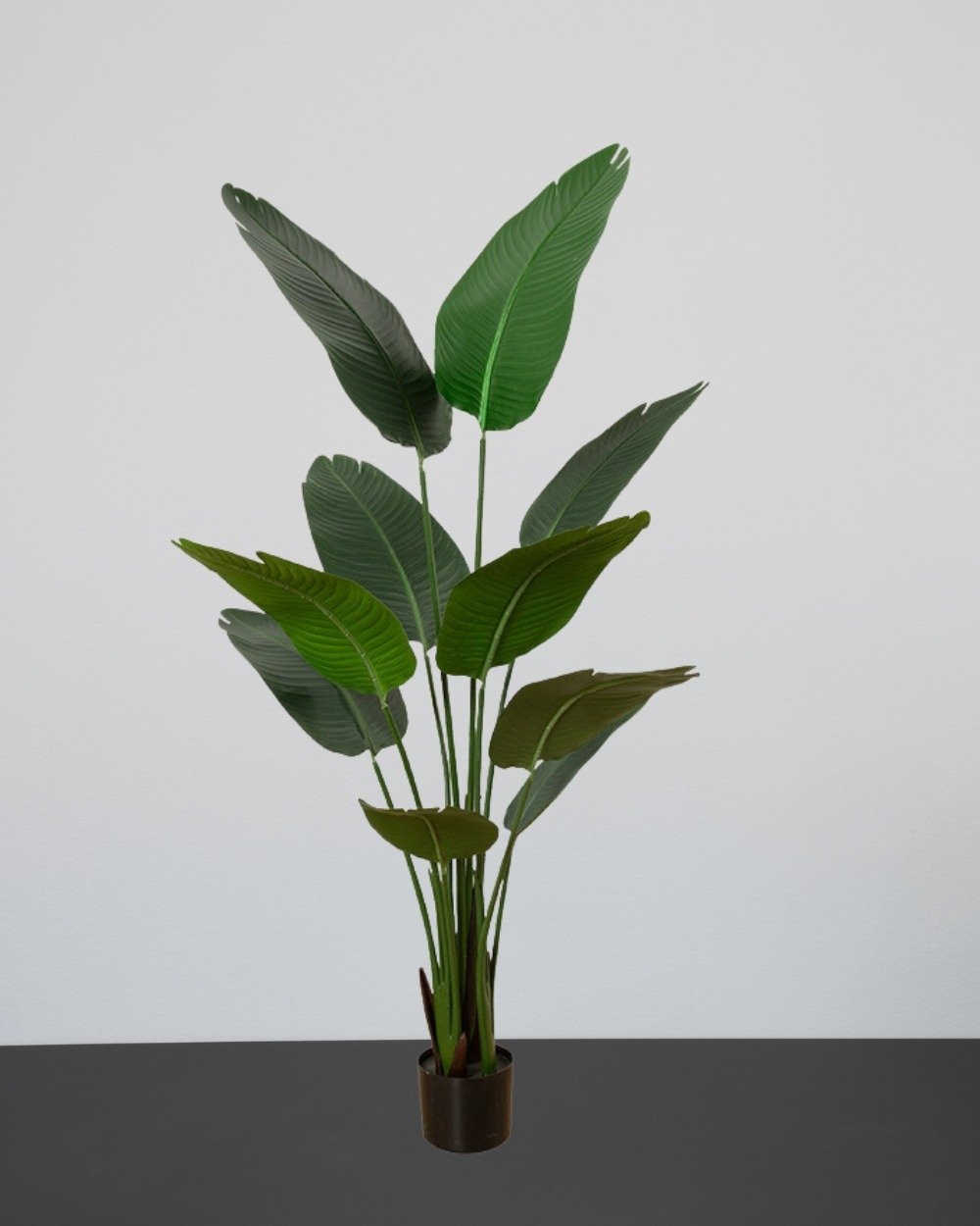 Kunstig Strelitzia