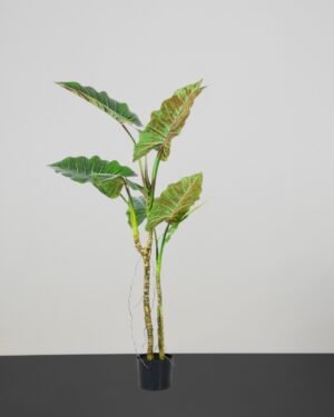 Eksklusivt Kunstig Colocasia Træ i Potte – Naturtro & Storslået (150/200 cm) - Billede 4