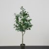 Kunstigt Ficus