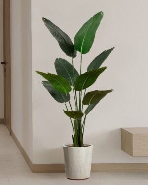 Kunstig Strelitzia (Paradisfugleplante) – Naturtro & Vedligeholdelsesfri (90/160 cm) - Billede 3