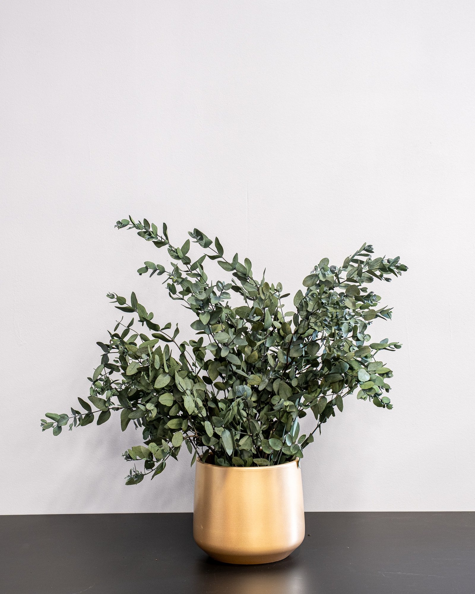 Potteplante Konserveret Gunny 3 Potteplante Konserveret Gunny - Billede 3