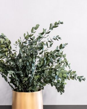 Potteplante Konserveret Gunny 8 Potteplante Konserveret Gunny - Billede 4