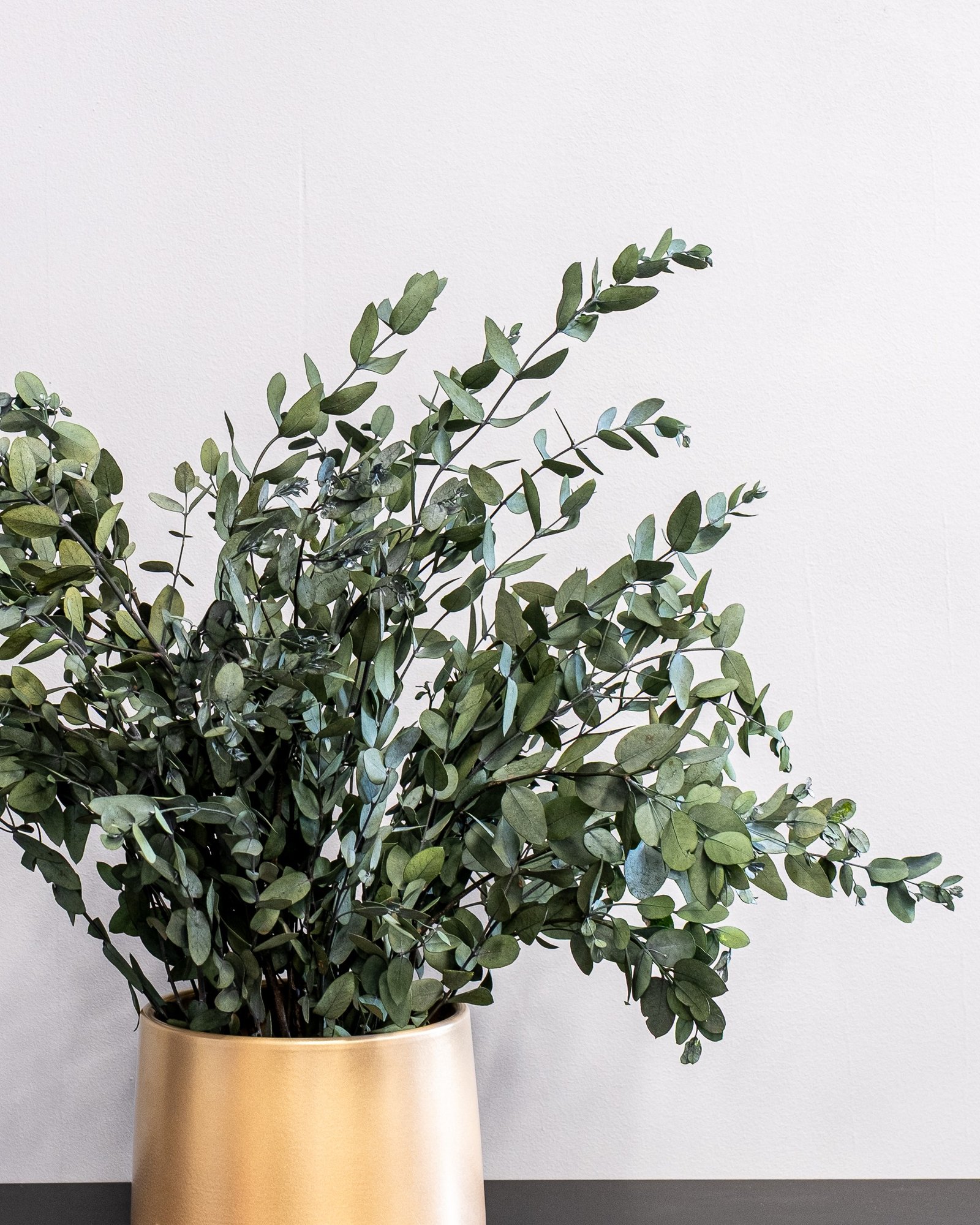 Potteplante Konserveret Gunny 4 Potteplante Konserveret Gunny - Billede 4