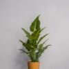 Kunstig Alocasia