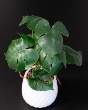 Eksklusiv Kunstig Monstera i Keramikpotte – Naturtro & Stilfuld (45 cm) - Billede 4