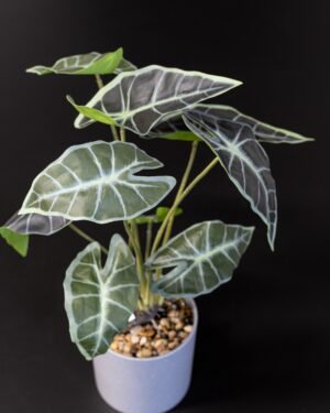 Eksklusiv Kunstig Alocasia i Potte – Naturtro Design (40 cm) - Billede 4