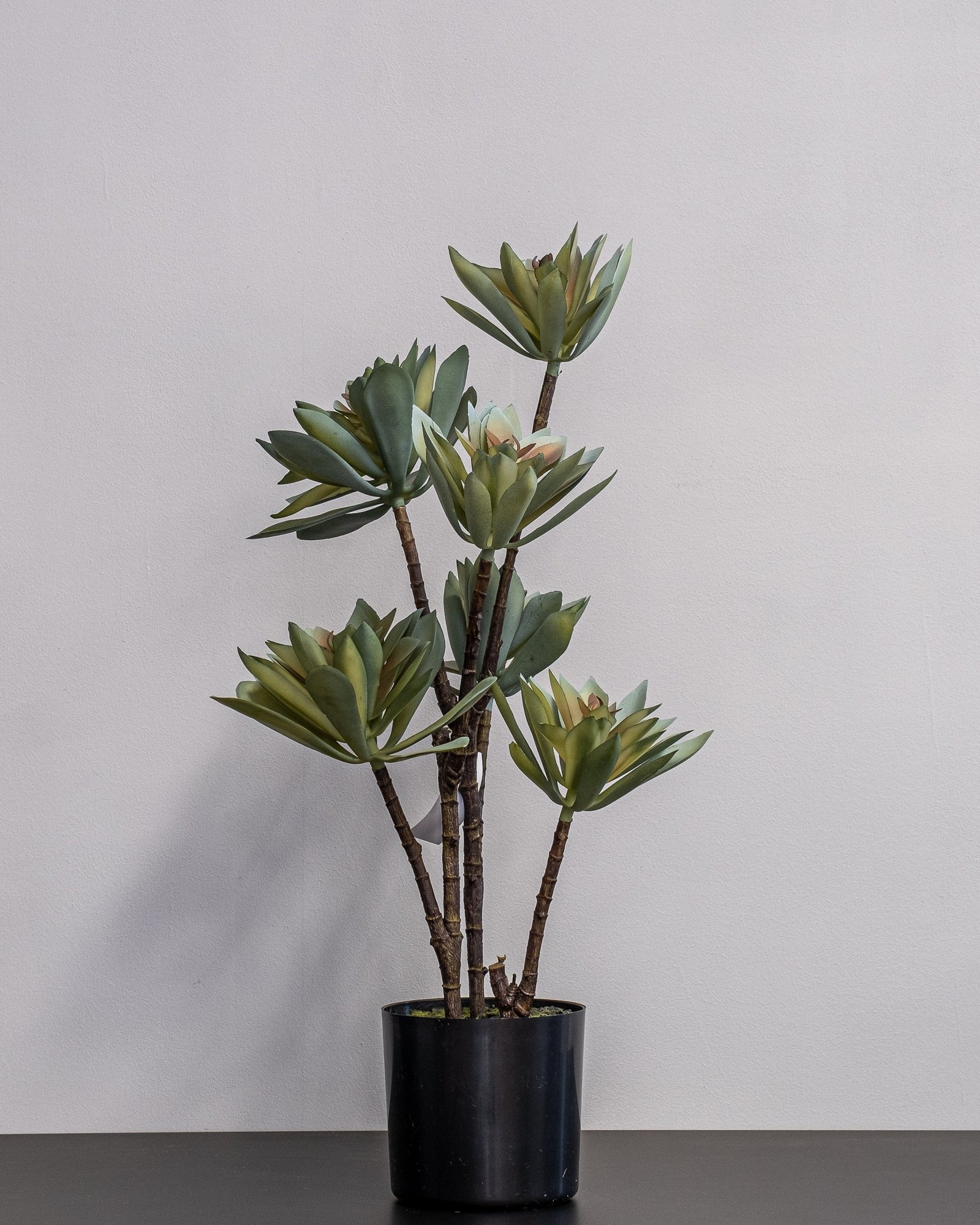 Eksklusiv Kunstig Lotus potteplante Lysegrøn i Melaminpotte - Naturtro Design (55 cm) 3 Eksklusiv Kunstig Lotus potteplante Lysegrøn i Melaminpotte - Naturtro Design (55 cm) - Billede 3