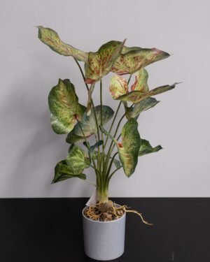 Eksklusiv Kunstig Caladium i Potte – Naturtro Design (60 cm) - Billede 6