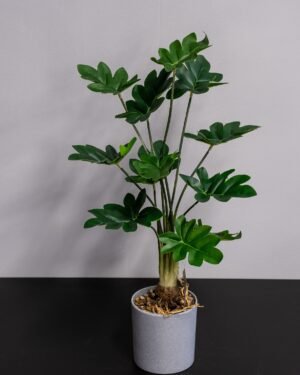 Eksklusiv Kunstig Filodendron i Potte – Naturtro Design (60 cm) - Billede 4