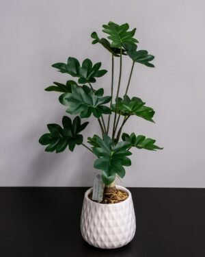 Eksklusiv Kunstig Filodendron i Keramikpotte – Naturtro Design (60 cm) - Billede 4
