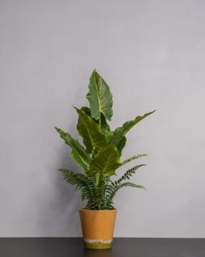 Eksklusiv Kunstig Alocasia i Melaminpotte – Naturtro Design (75 cm) - Billede 3