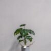 Kunstig Monstera