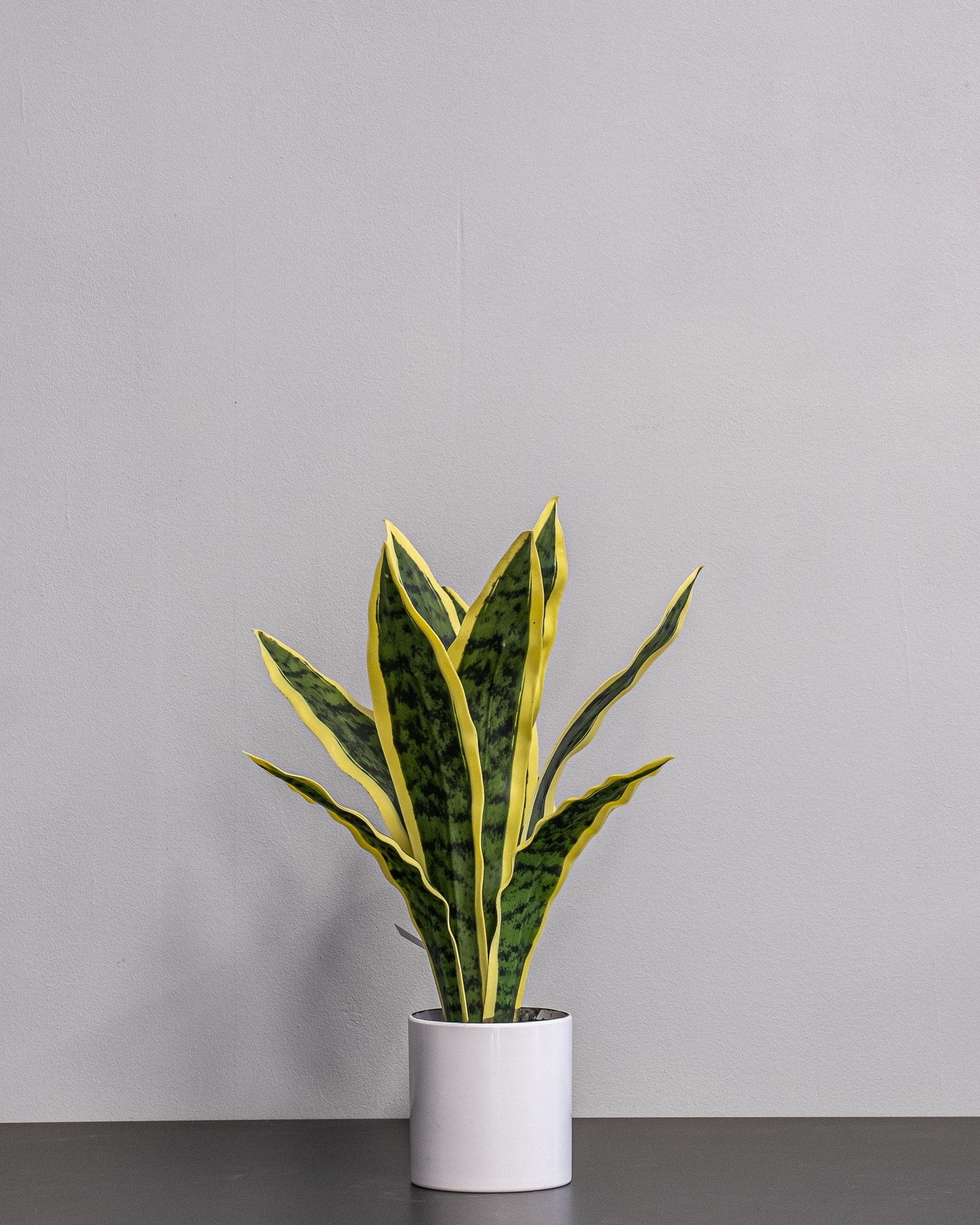 Kunstig Sansevieria