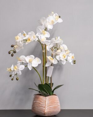 Eksklusiv Kunstig Orkidé med Hvide Blomster i Keramikpotte (40 × 60 cm) - Billede 4