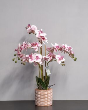 Eksklusiv Kunstig orkidé 40 * 60 cm - lyserøde blomster - Billede 3