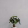 Kunstig Filodendron