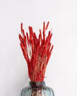 Hvede - tørrede blomster 26 Hvede - tørrede blomster - Billede 10
