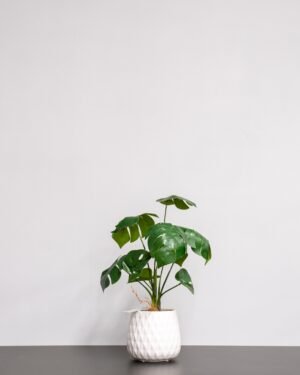 Kunstig Monstera