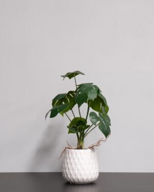 Eksklusiv Kunstig Monstera i Keramikpotte – Naturtro & Stilfuld (45 cm) - Billede 3
