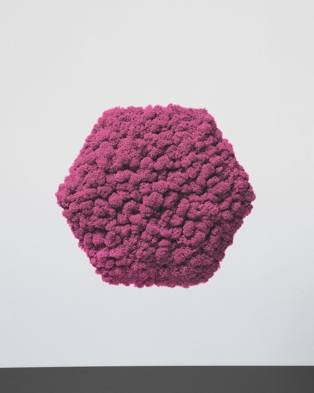 Mospanel Hexagonal - Fantastisk lydabsorberende vægpanel med finsk rensdyrlav 2 Mospanel Hexagonal - Fantastisk lydabsorberende vægpanel med finsk rensdyrlav - Billede 2