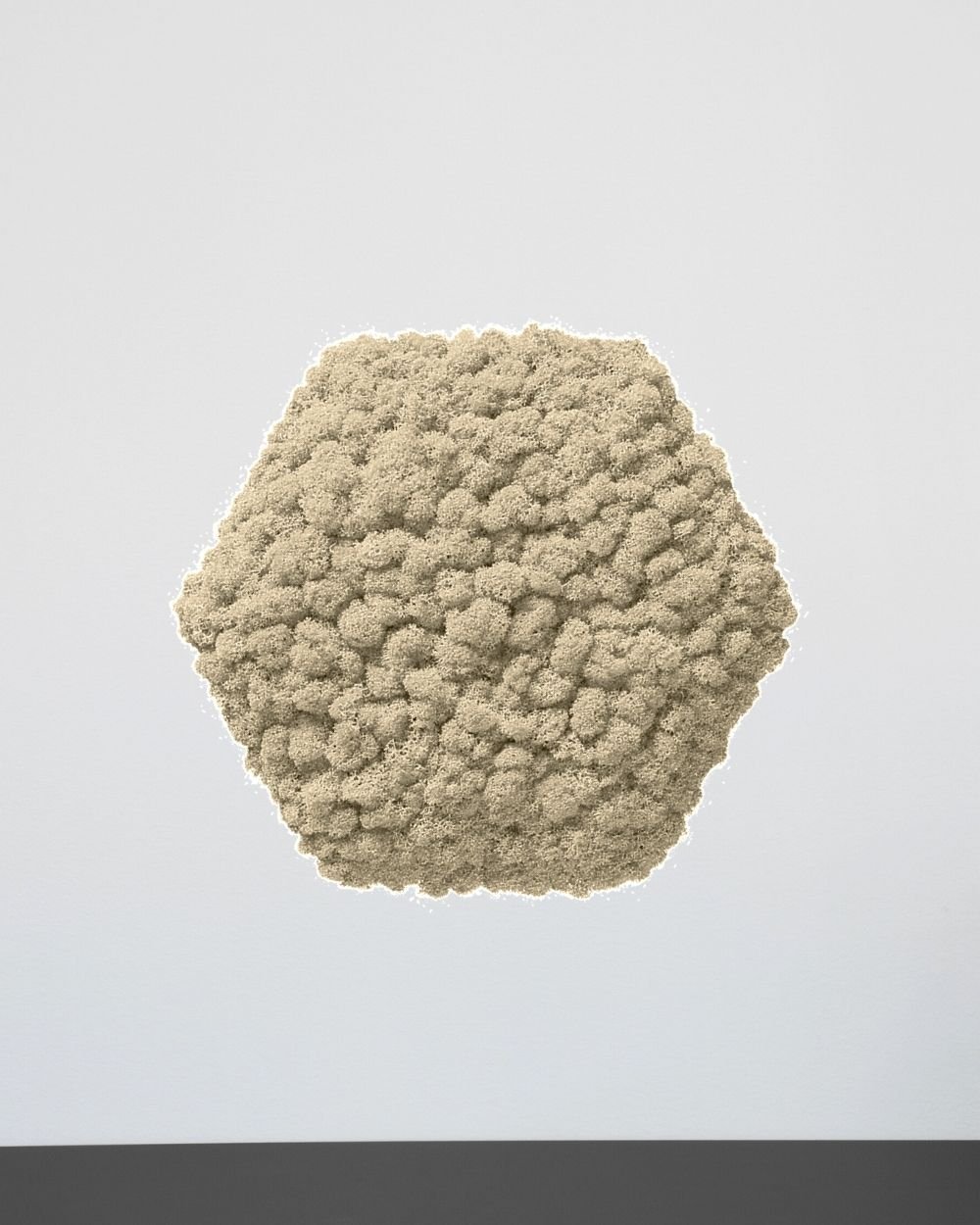 Mospanel Hexagonal - Fantastisk lydabsorberende vægpanel med finsk rensdyrlav 4 Mospanel Hexagonal - Fantastisk lydabsorberende vægpanel med finsk rensdyrlav - Billede 4