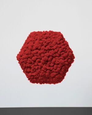 Mospanel Hexagonal - Fantastisk lydabsorberende vægpanel med finsk rensdyrlav 14 Mospanel Hexagonal - Fantastisk lydabsorberende vægpanel med finsk rensdyrlav - Billede 5