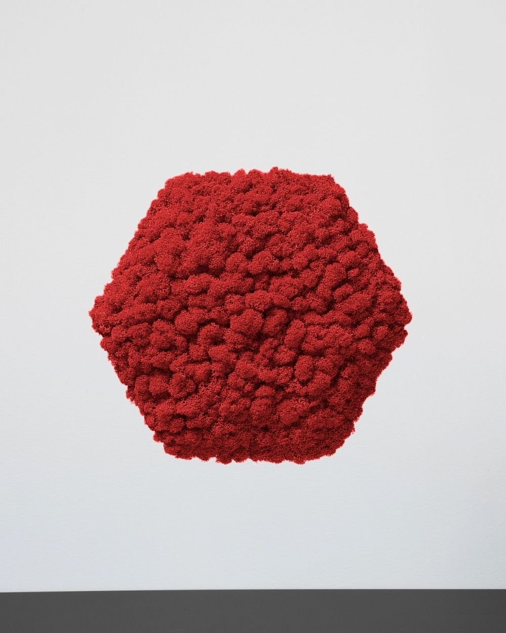 Mospanel Hexagonal - Fantastisk lydabsorberende vægpanel med finsk rensdyrlav 5 Mospanel Hexagonal - Fantastisk lydabsorberende vægpanel med finsk rensdyrlav - Billede 5