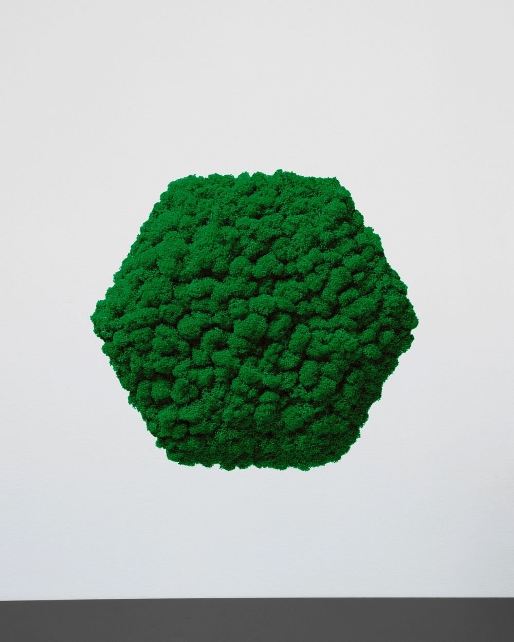 Mospanel Hexagonal - Fantastisk lydabsorberende vægpanel med finsk rensdyrlav 6 Mospanel Hexagonal - Fantastisk lydabsorberende vægpanel med finsk rensdyrlav - Billede 6