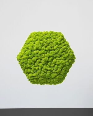 Mospanel Hexagonal - Fantastisk lydabsorberende vægpanel med finsk rensdyrlav 16 Mospanel Hexagonal - Fantastisk lydabsorberende vægpanel med finsk rensdyrlav - Billede 7