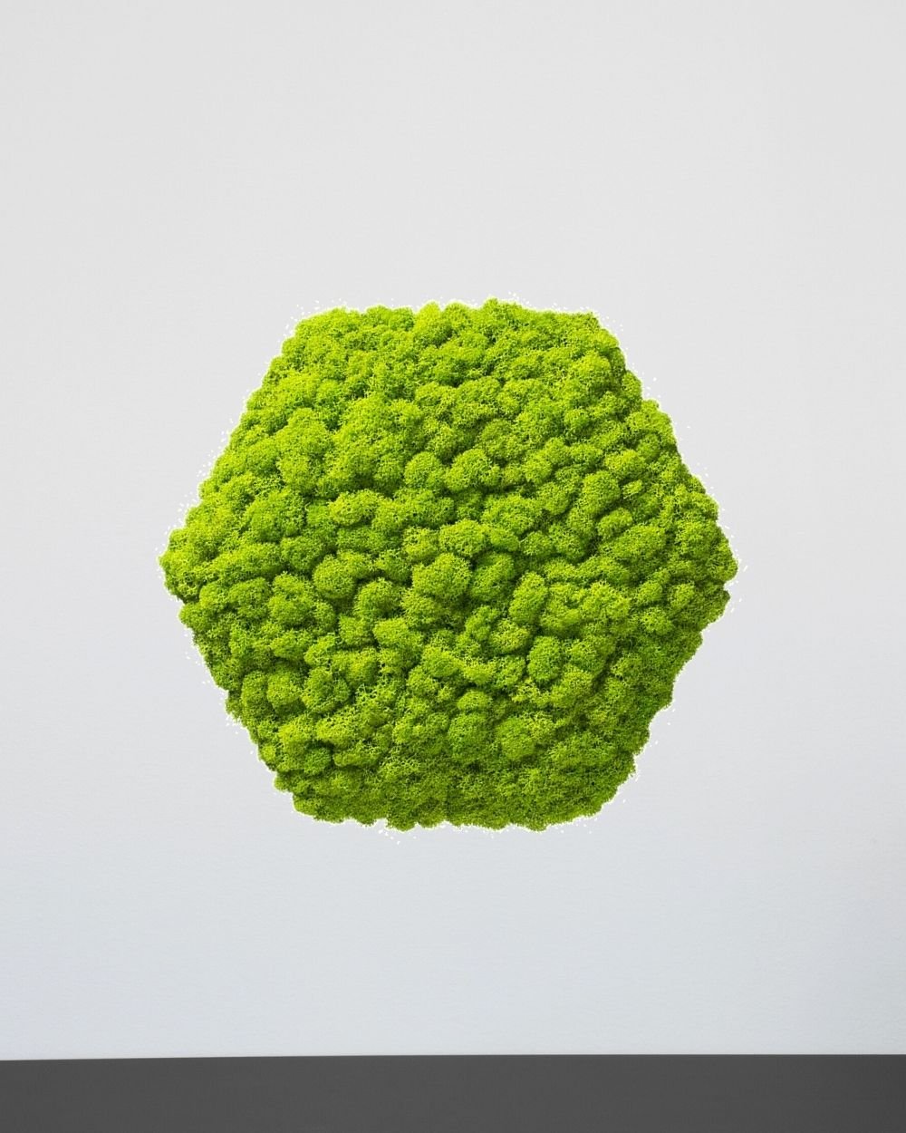 Mospanel Hexagonal - Fantastisk lydabsorberende vægpanel med finsk rensdyrlav 7 Mospanel Hexagonal - Fantastisk lydabsorberende vægpanel med finsk rensdyrlav - Billede 7