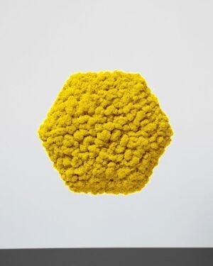 Mospanel Hexagonal - Fantastisk lydabsorberende vægpanel med finsk rensdyrlav 17 Mospanel Hexagonal - Fantastisk lydabsorberende vægpanel med finsk rensdyrlav - Billede 8
