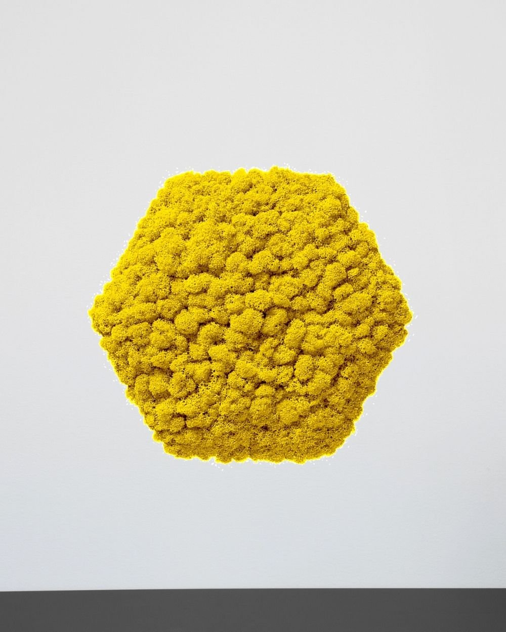Mospanel Hexagonal - Fantastisk lydabsorberende vægpanel med finsk rensdyrlav 8 Mospanel Hexagonal - Fantastisk lydabsorberende vægpanel med finsk rensdyrlav - Billede 8