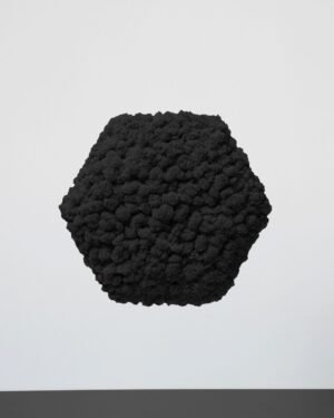 Mospanel Hexagonal - Fantastisk lydabsorberende vægpanel med finsk rensdyrlav 19 Mospanel Hexagonal - Fantastisk lydabsorberende vægpanel med finsk rensdyrlav - Billede 10